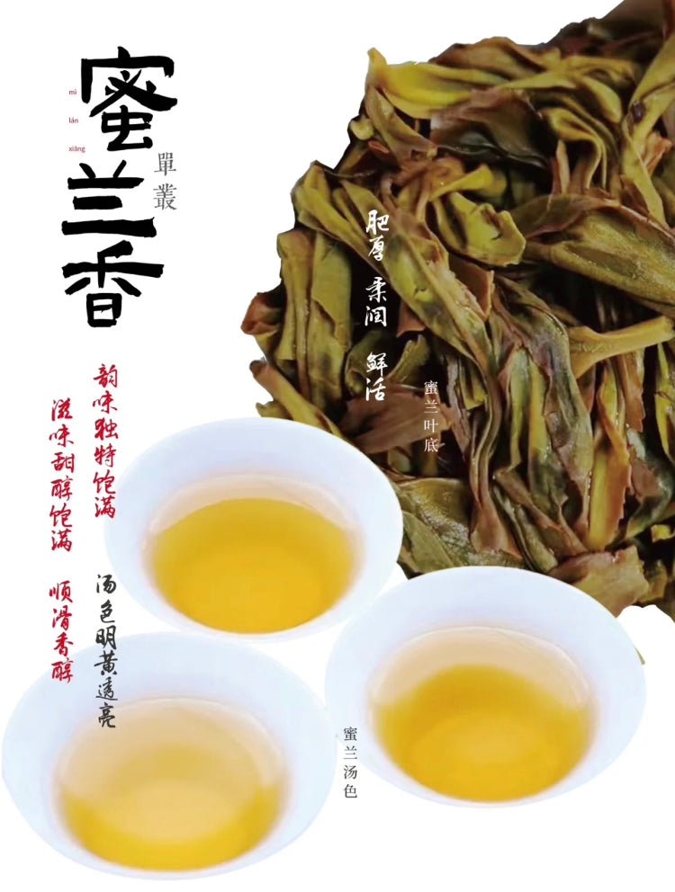 凤凰单丛【蜜兰香】老春茶【MILAN XIANG】（Old Spring）125g