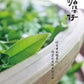 凤凰单丛 早春【乌岽锯朵仔】 WUDONG High Aroma【Saw Teeth Tea】 125g “Hot Selling”