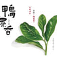 AS "Half Price" 大垸【鸭屎香】 Dawan 【Duck Shit Tea】125g